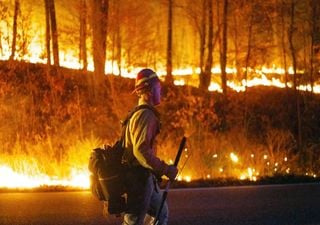 Clima extremo: la ciudad de Nueva York declara alerta de sequía por primera vez en 22 años