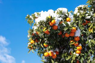 Extremwetter in Europa: Regenflut in Spanien, Schnee in Griechenland!