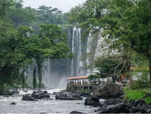 Eyipantla, la joya natural de Veracruz que cambia el aire que la rodea