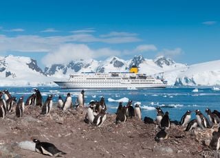 Face à la pollution, faut-il interdire le tourisme en Antarctique ?