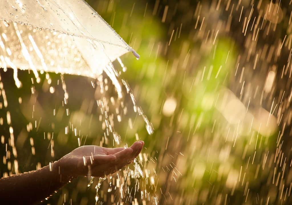 Mano femenina recibiendo gotas de agua; paraguas transparente bajo la lluvia Mano femenina recibiendo gotas de agua; paraguas transparente bajo la lluvia