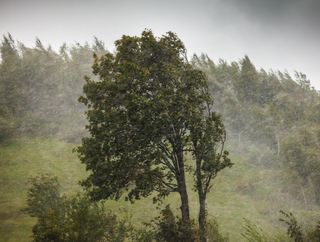 Cuatro factores que agravarán el inminente episodio de lluvias