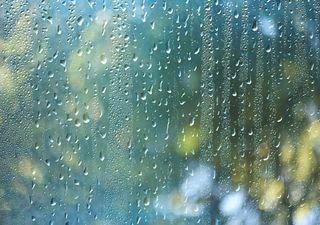 Fällt der Mai ins Wasser? Die aktuelle Wettervorhersage