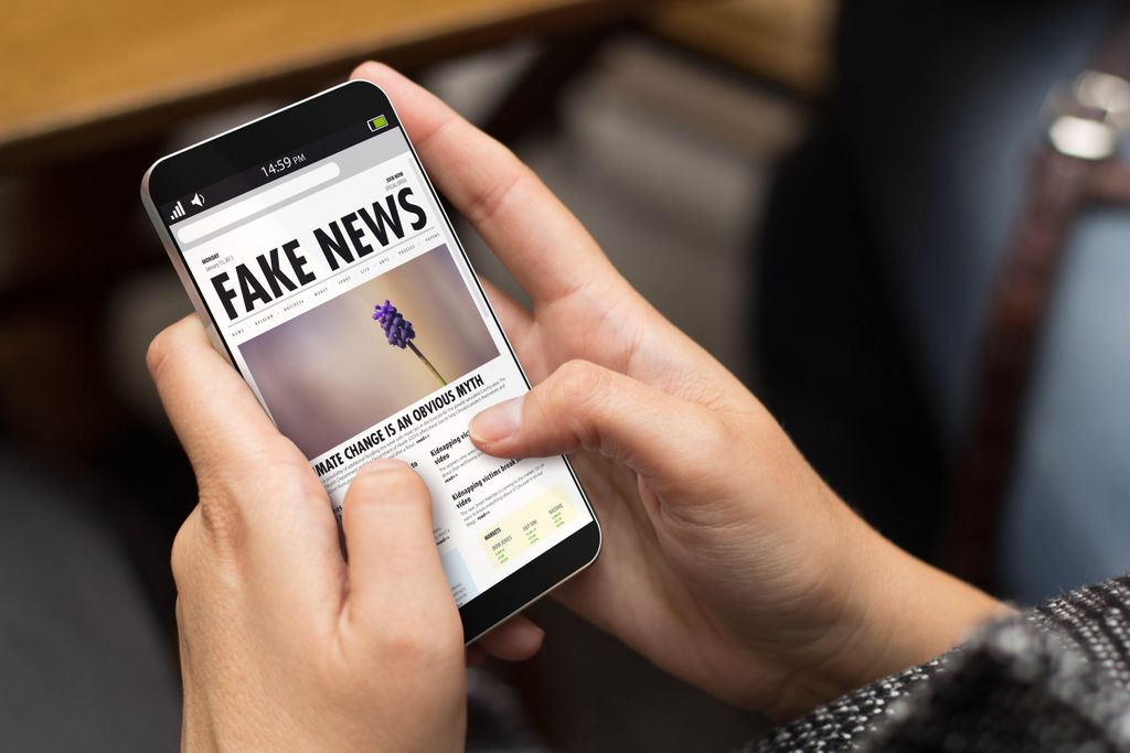 desinformação; fake news
