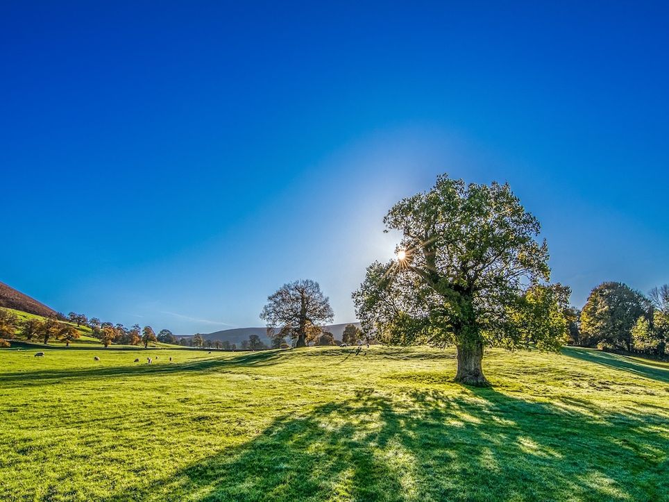Fallt Bald Die 25 Grad Marke Zum Monatsende Deutlich Warmer