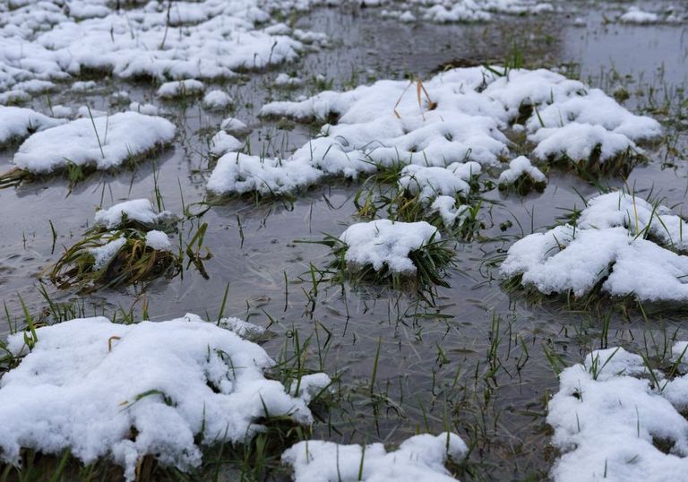 Matschwinter im Anmarsch Matschwinter im Anmarsch