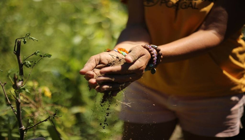 As mulheres representam mais de 40% da força de trabalho agrícola nos países em desenvolvimento. Na América Latina são 20%, mas em várias zonas de África e Ásia as mulheres são mais de 50%.