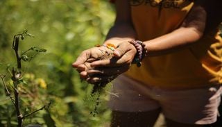 FAO lan&ccedil;a iniciativa &ldquo;100 Mulheres Hero&iacute;nas&rdquo; na Agricultura. Portugal ajuda a submeter candidaturas