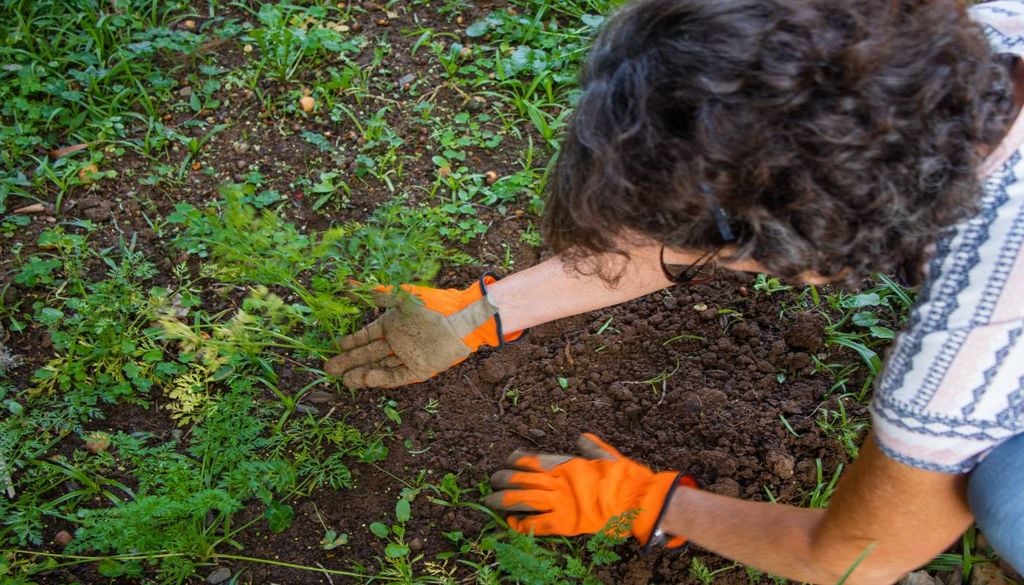 Em Portugal, estima-se que as mulheres gerem entre 31 a 33% das explorações agrícolas. E há múltiplos exemplos de transformação social e económica operada por mulheres.