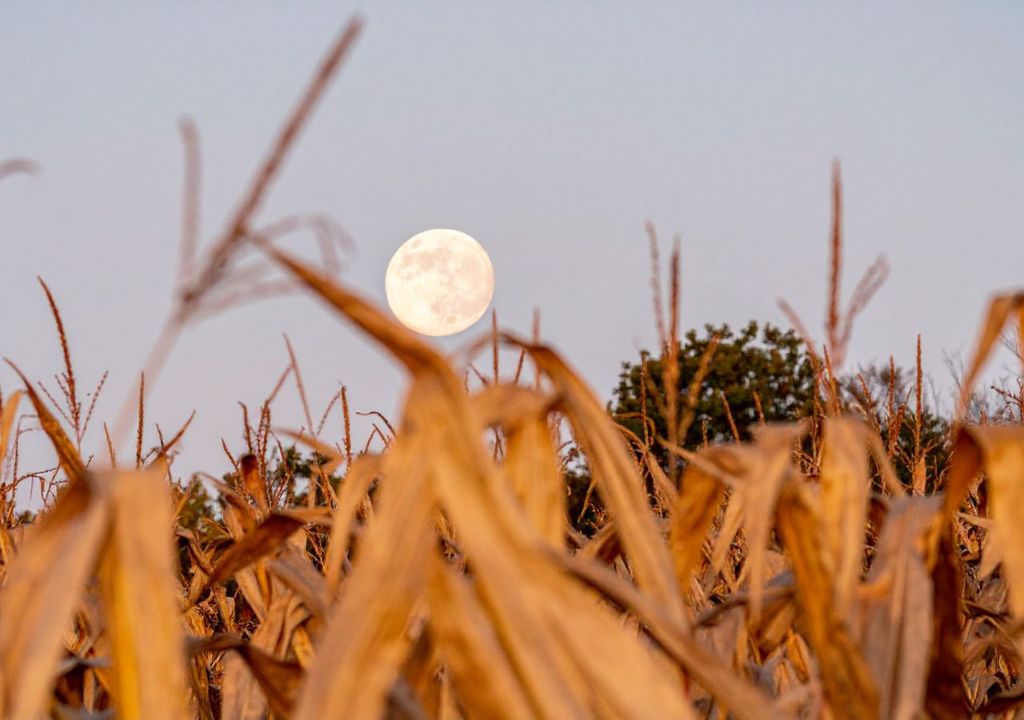 luna y agricultura