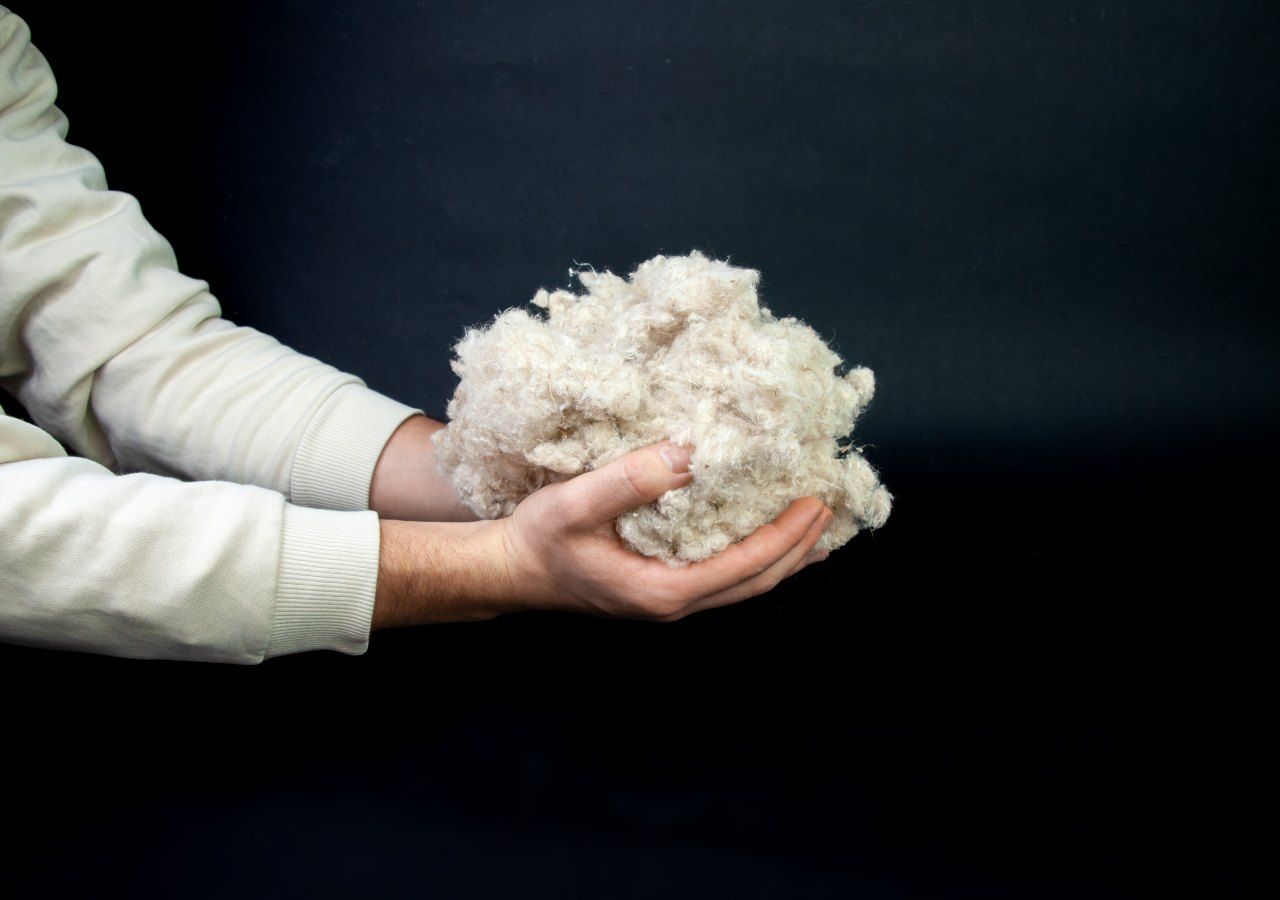 Este hilo fabricado con la planta de papa es una alternativa más ecológica