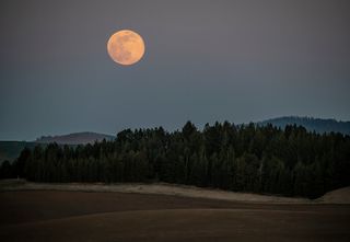 Fasi lunari del mese di ottobre 2023: quando la Luna piena?