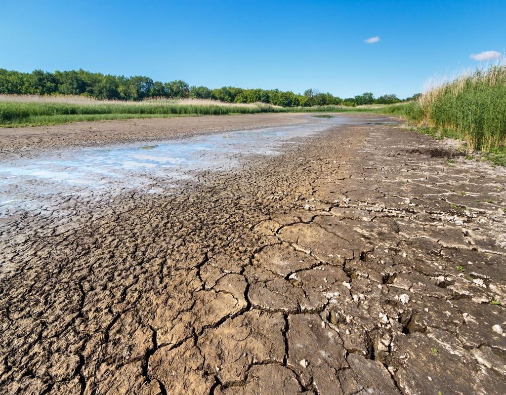 dürre, trockenheit, wetter Die Dürre verschärft sich immer weiter. Auch in den kommenden Tagen ist so gut wie kein Regen in Sicht.