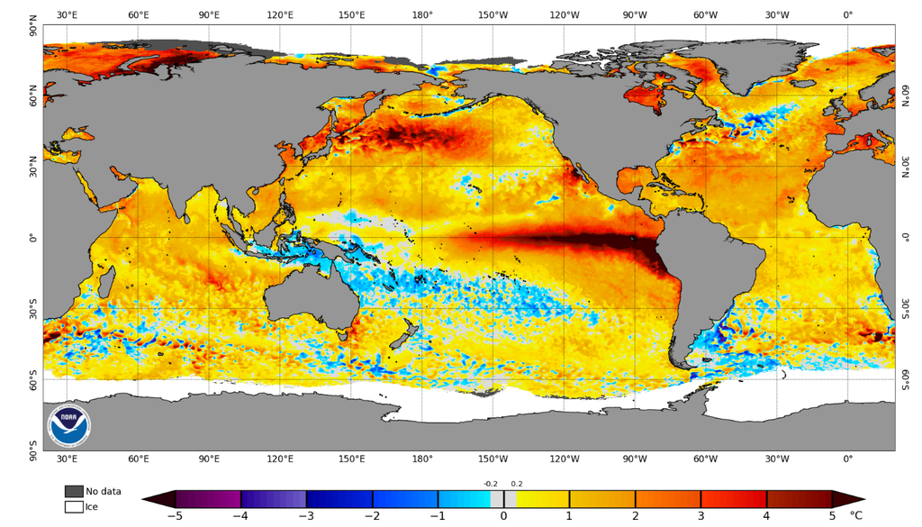 Na ciência, alguns termos são reservados para conceitos específicos, e embora estejam relacionados, não significam a mesma coisa. Na imagem, a anomalia de TSM do dia 29 de setembro de 2026. Créditos: NOAA Coral Reef.