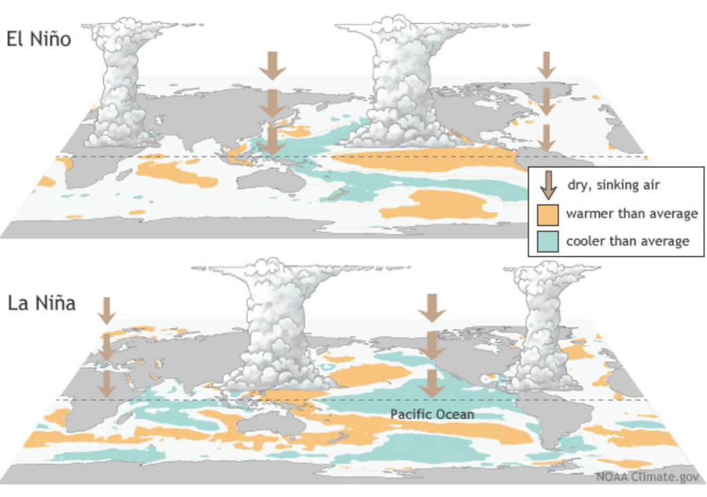 Representação esquemática das fases El Niño e La Niña, onde laranja representa aquecimento, azul resfriamento, as nuvens indicam maior convecção e as setas onde o ar desce, desfavorecendo nuvens e chuva. Créditos: NOAA.