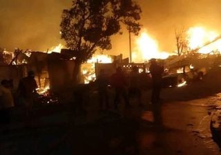 Devastanti incendi boschivi nel Cile centro-meridionale: i video