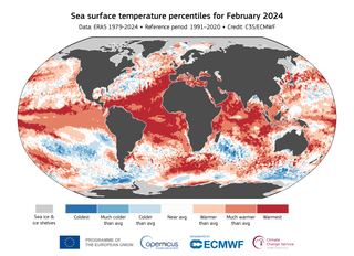 Los científicos sorprendidos por los valores de récord en febrero de 2024: temperaturas del aire y las aguas oceánicas 