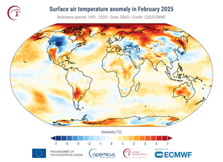 Febrero de 2025: la capa de hielo marino marca un mínimo histórico y es el tercer febrero más cálido globalmente