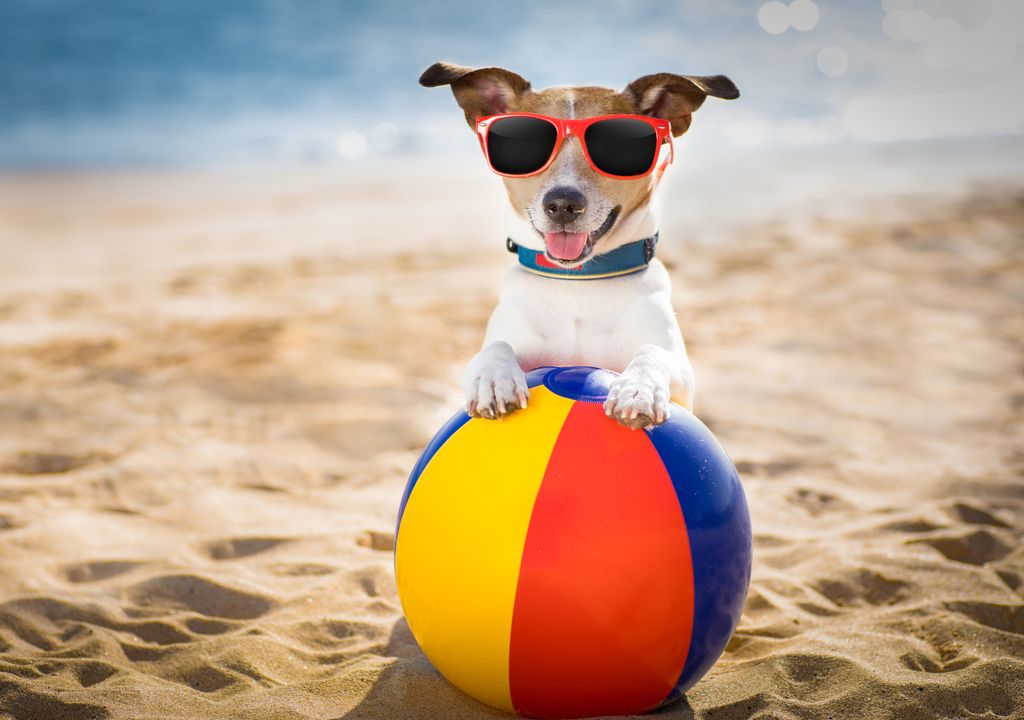 Febrero verano tiempo clima ola de calor Febrero verano tiempo clima ola de calor