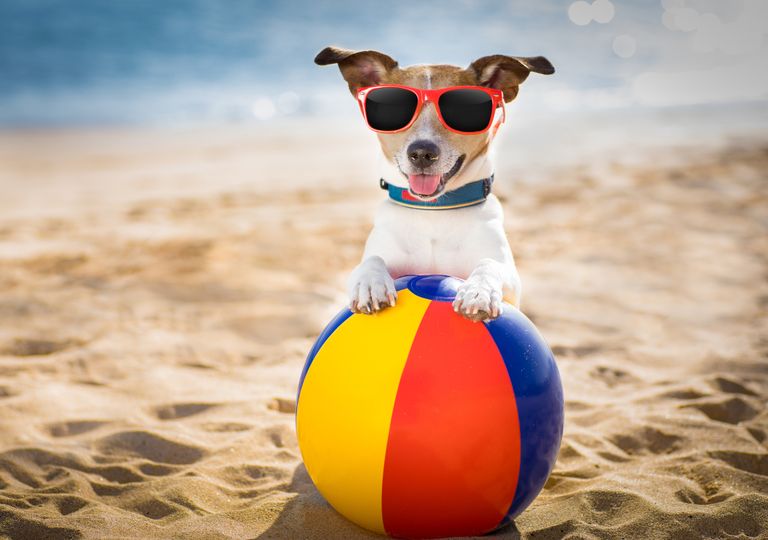 Febrero verano tiempo clima ola de calor Febrero verano tiempo clima ola de calor