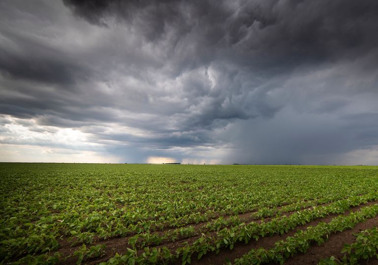 ¿Ya hay fecha para la vuelta de las ansiadas lluvias a España? ¿Ya hay fecha para la vuelta de las ansiadas lluvias a España?