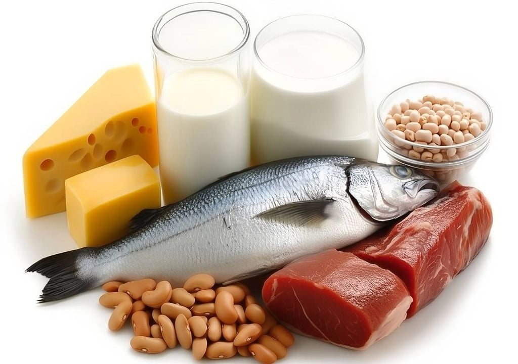 Carnes e lácteos Carnes e lácteos