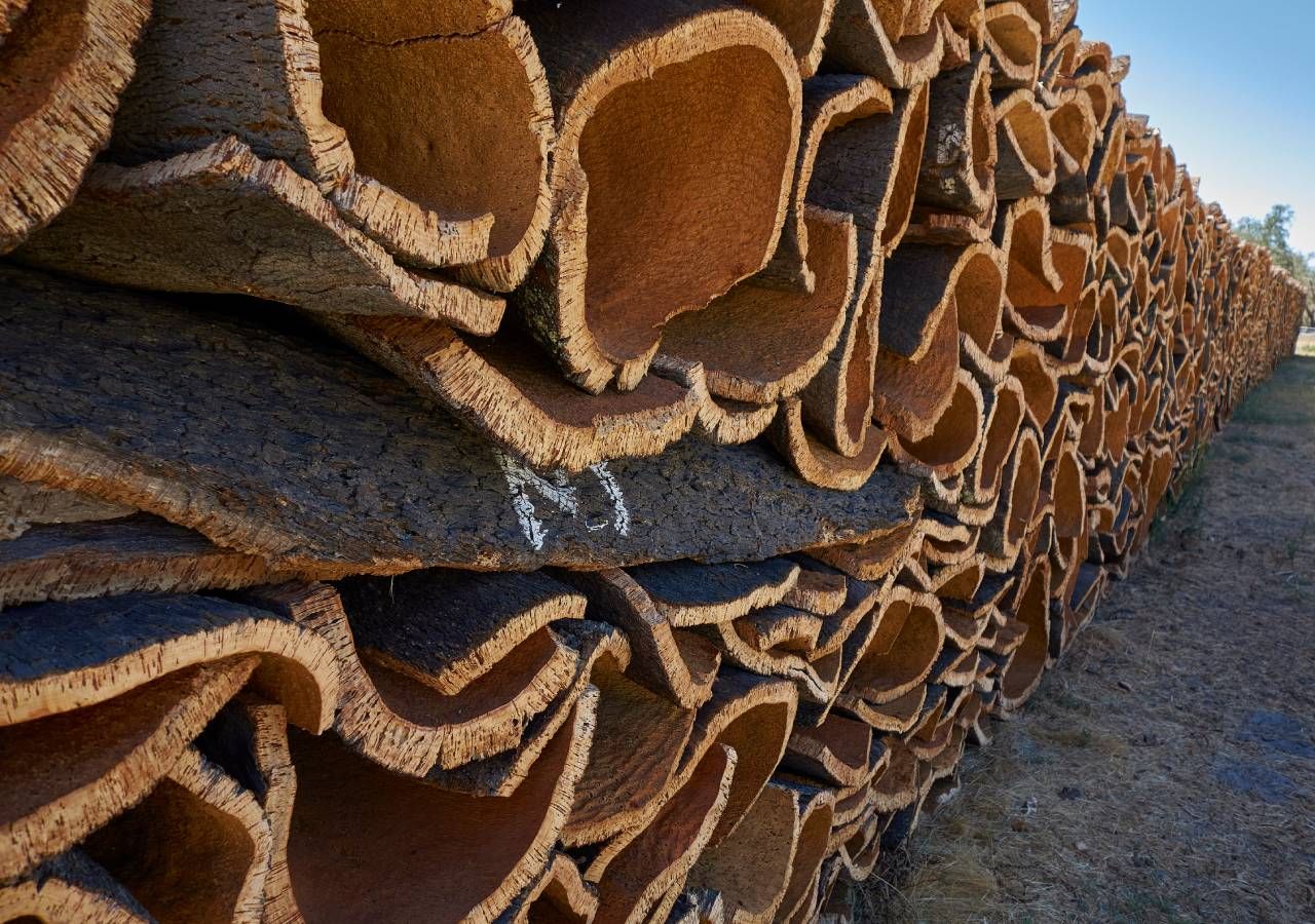 Feira Internacional da Cortiça regressa a Coruche de 29 de maio a 1 de junho. Exportações do setor estão em queda