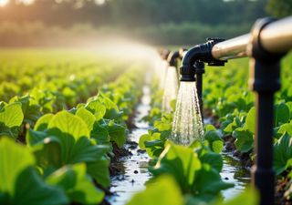 Feira Nacional da Agricultura de Santarém acolhe conferência sobre "Agricultura nos Países do Sul da Europa"