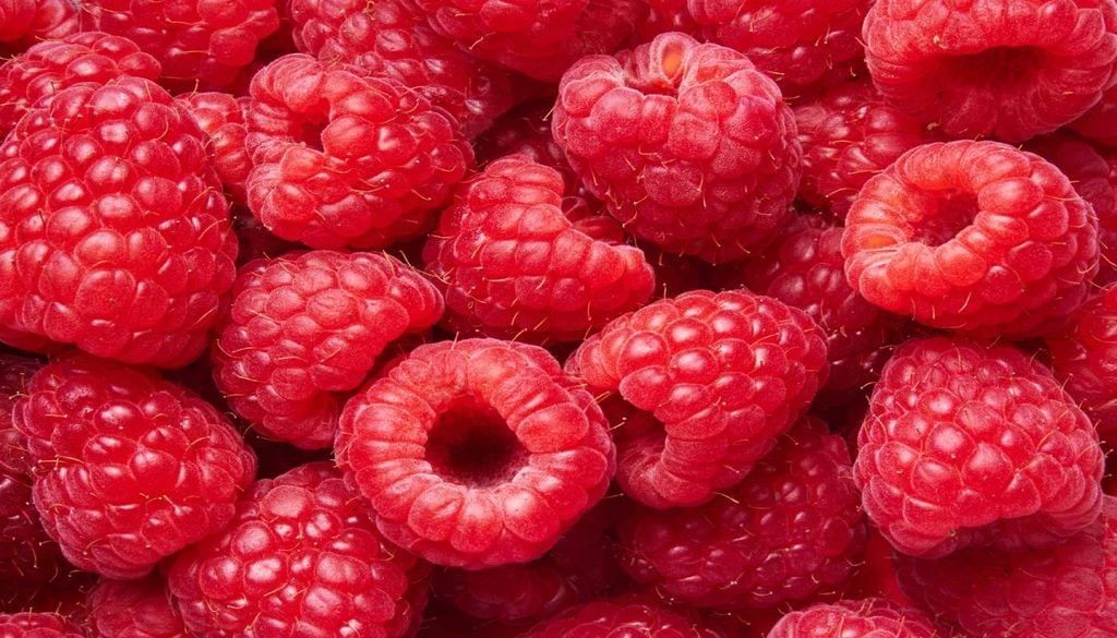 Os pequenos frutos têm “demonstrado um notável dinamismo e um crescente interesse por parte dos consumidores”, derivado ao seu elevado valor nutricional.