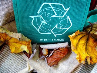 Felicidades, ¡es el Día Mundial del Reciclaje!