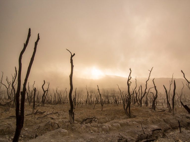 Clima Cambio Climatico Clima Global Clima Cambio Climatico Clima Global