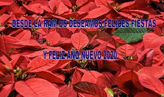 FELIZ NAVIDAD Y AÑO NUEVO 2020