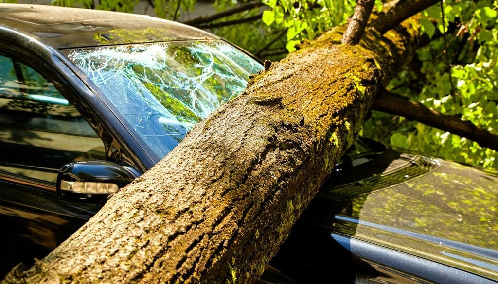 In auto, cercare un riparo sicuro