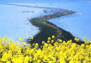 Fenômeno bíblico natural: conheça o “Milagre de Moisés”, a abertura do mar na Coreia do Sul