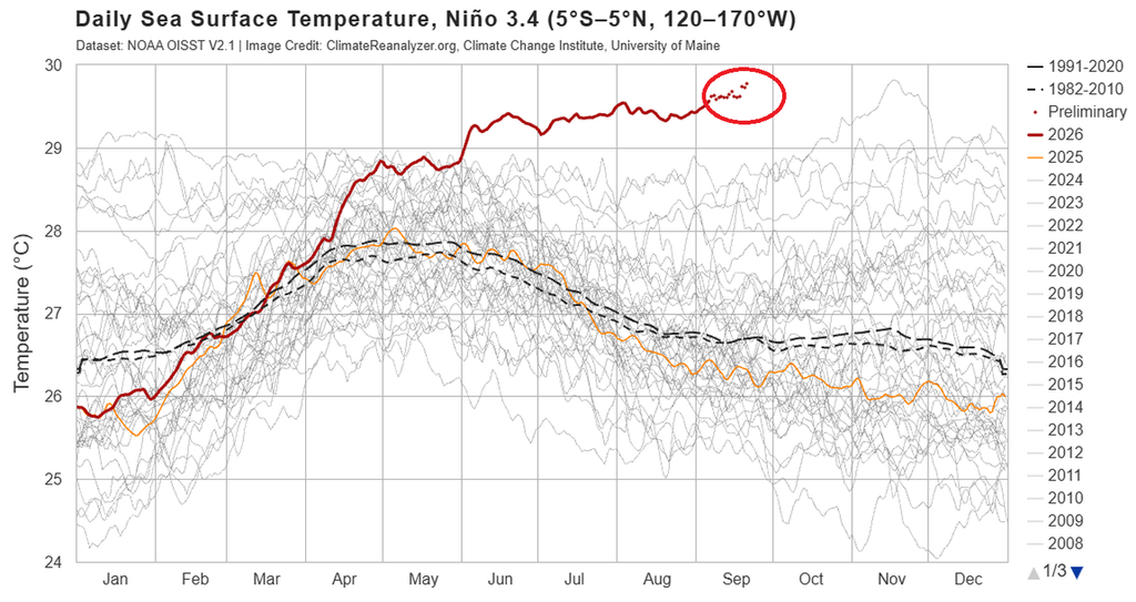 Evolución temporal de las temperaturas del agua del mar en el Pacífico ecuatorial región Niño3.4 con las señales de 2026 en rojo. Climate Reanalyzer.