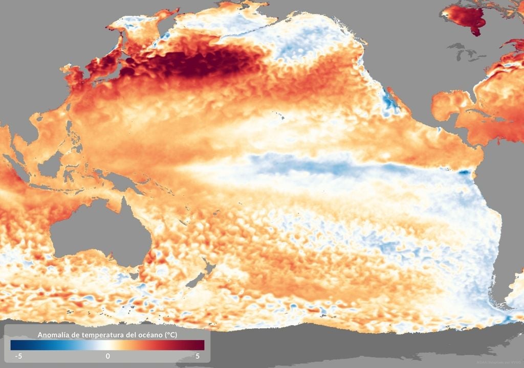 mapa de anomalía de temperatura superficial del mar para la cuenca del Pacífico.