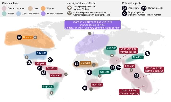 Impactos potenciales de El Niño a nivel global. Fuente: JRC