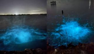 Fenômeno luminoso faz mar brilhar na cor azul em praia do Ceará