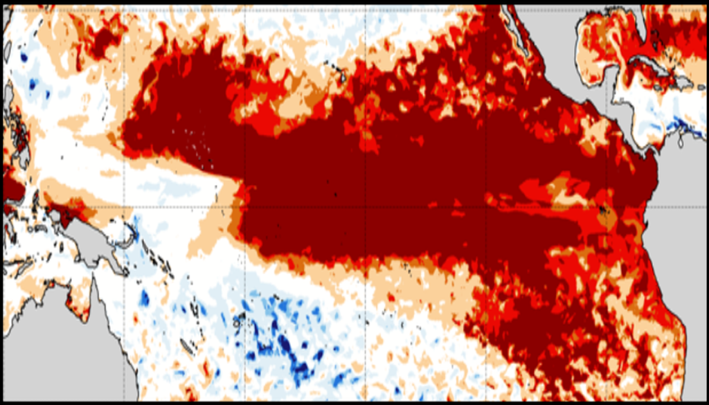 Este mapa del Pacífico tropical muestra la clasificación de los extremos de temperatura de la superficie oceánica en julio de 2026, donde las áreas de color rojo más oscuro experimentan las condiciones más cálidas registradas para un mes de julio. Las condiciones de El Niño están definidas por la temperatura en el rectángulo verde, y el círculo verde indica la ubicación de las Islas Galápagos. Crédito de la imagen: Julia Cole, Universidad de Michigan, modificada de Mercator Ocean International.