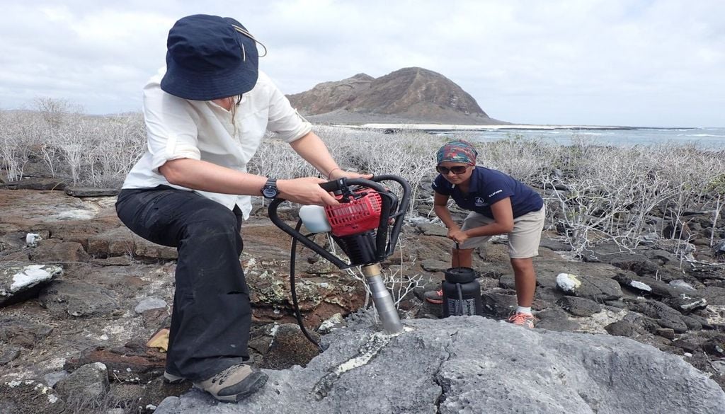 La investigadora Diane Thompson, de la Universidad de Arizona, toma una muestra de un coral antiguo.