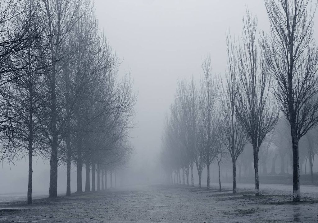 nevoeiro matinal; portugal
