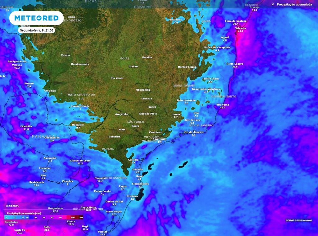 Previsão da precipitação acumulada (em mm) entre hoje (3) e a noite de segunda-feira (8), segundo o modelo europeu ECMWF.