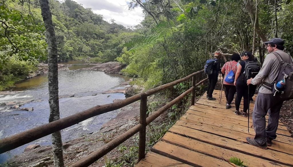 Trilha em área do Parque Estadual Jurupará. Crédito: Divulgação.