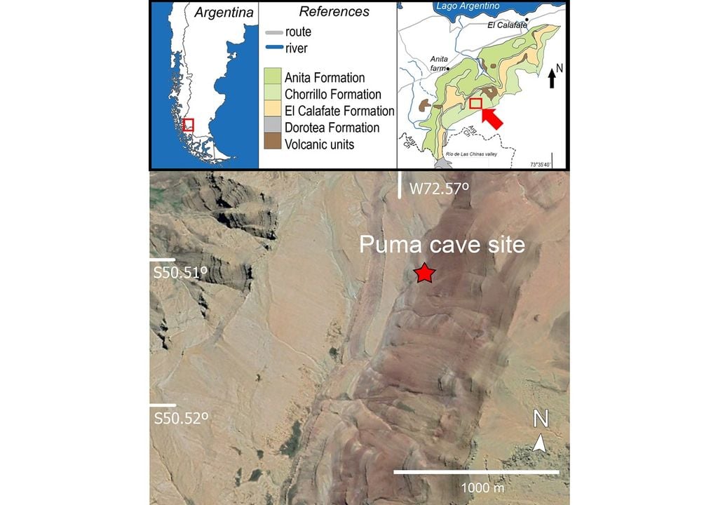 cocodrilo fosil dinosaurio Patagonia Argentina cocodrilo fosil dinosaurio Patagonia Argentina