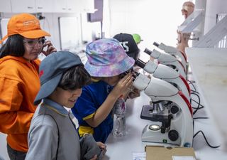 Con ciencia contra la desinformación: llega el Festival de las Ciencias 2025 a todo Chile