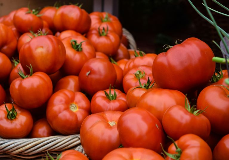 Festival del Tomate 2026: chefs, agricultores y cocina en torno al rey del verano en Providencia