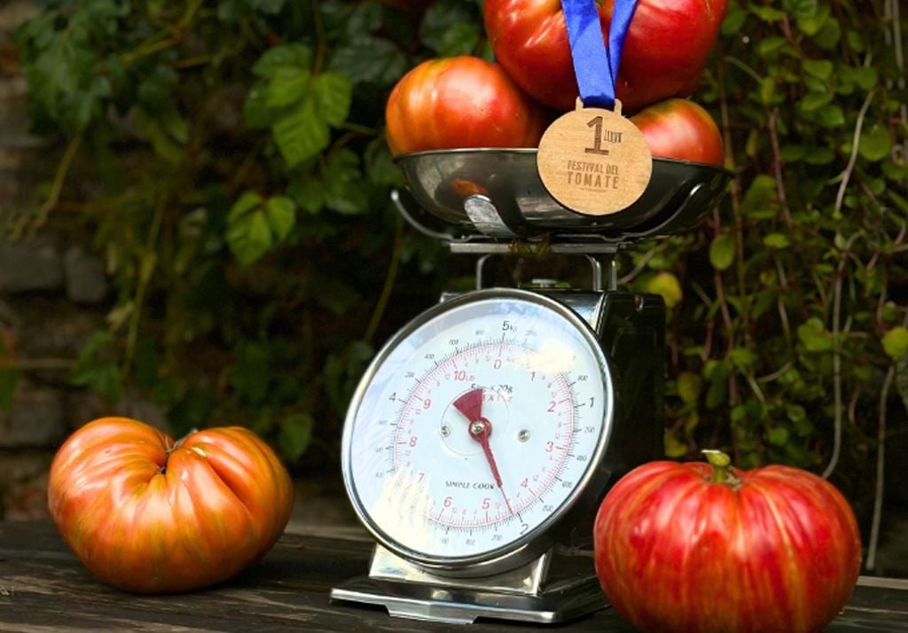 Por segundo año consecutivo, el festival premiará al tomate más grande, equivalente en gramos. Imagen: Festival del tomate