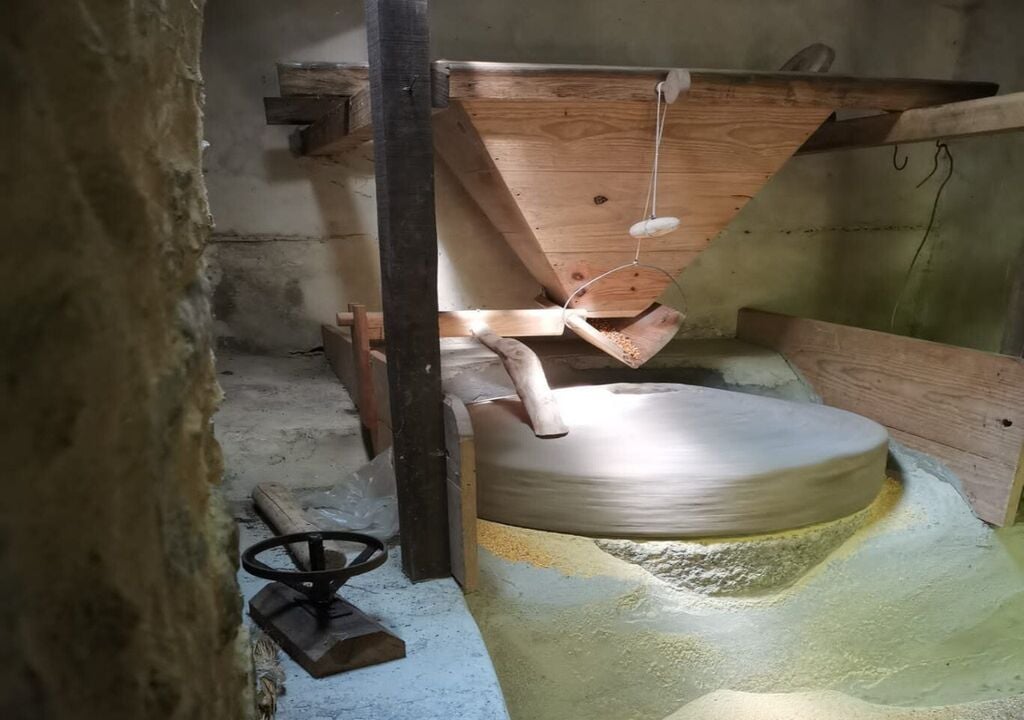 De acordo com a autarquia, Albergaria-a-Velha é o concelho da Europa com mais moinhos de água registados. Foto: CM Albergaria