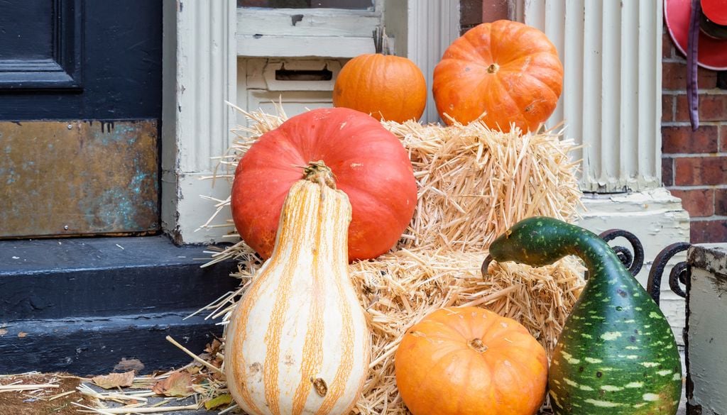 Paille Citrouille Courge Entrée Maison Halloween Un peu de paille, des courges, de fausses bougies et voilà votre entrée totalement décorée dans une ambiance d'Halloween.