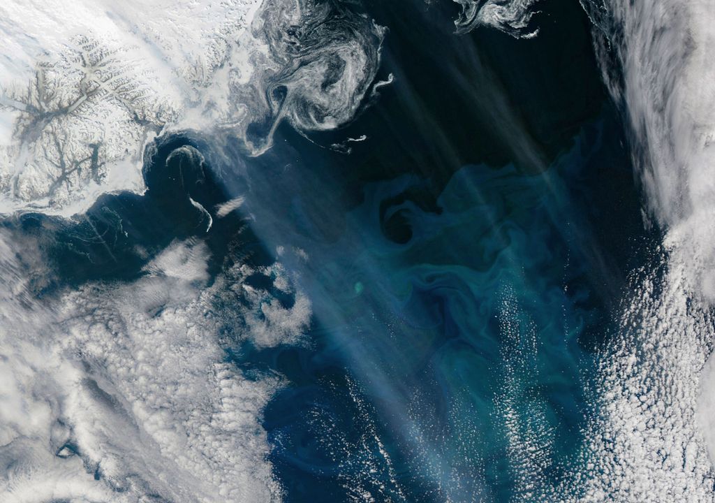 Aufnahme einer Algenblüte, teilweise vom Rauch der kanadischen Waldbrände verdeckt, 3. Juni 2025. Aufnahme einer Algenblüte, teilweise vom Rauch der kanadischen Waldbrände verdeckt, 3. Juni 2025.
